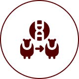 A dark red circular emblem with intricate symmetrical patterns.