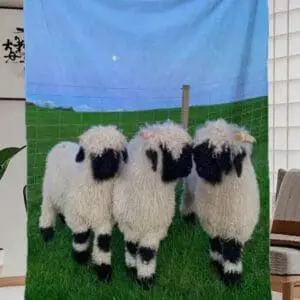 Three fluffy sheep standing on green grass under a blue sky.