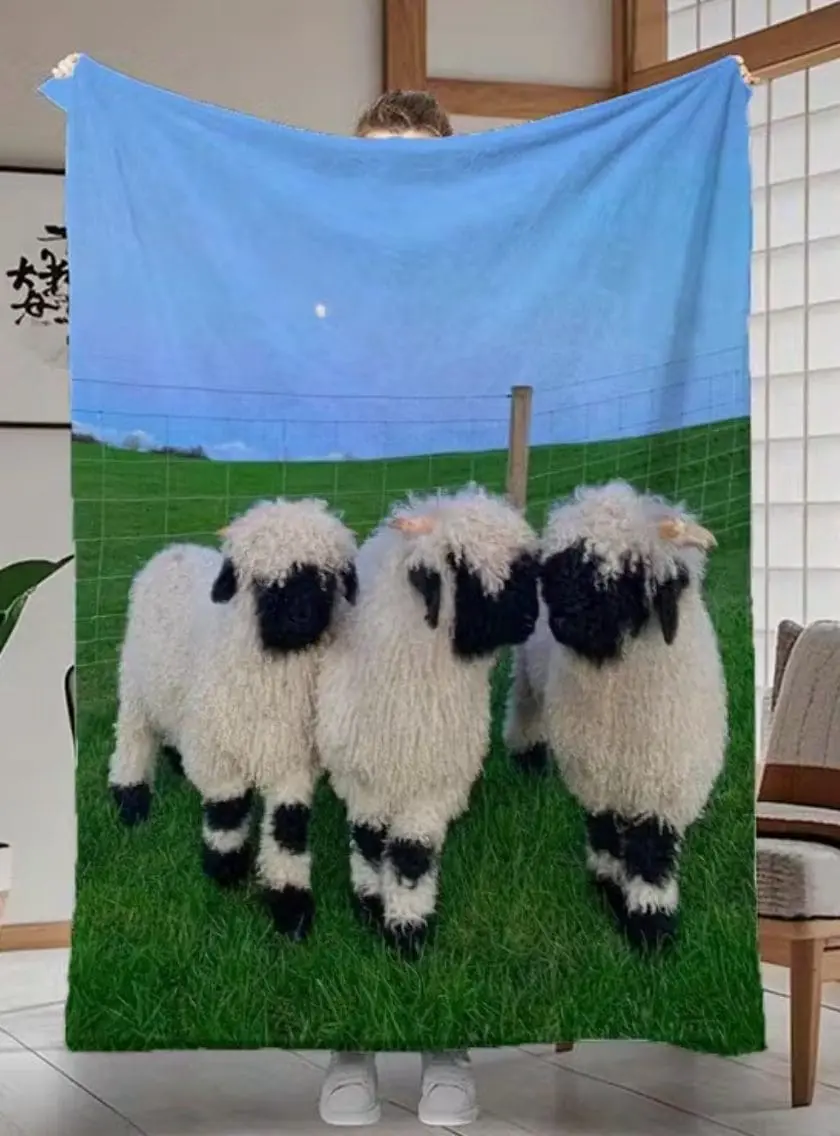 Three fluffy sheep standing on green grass under a blue sky.